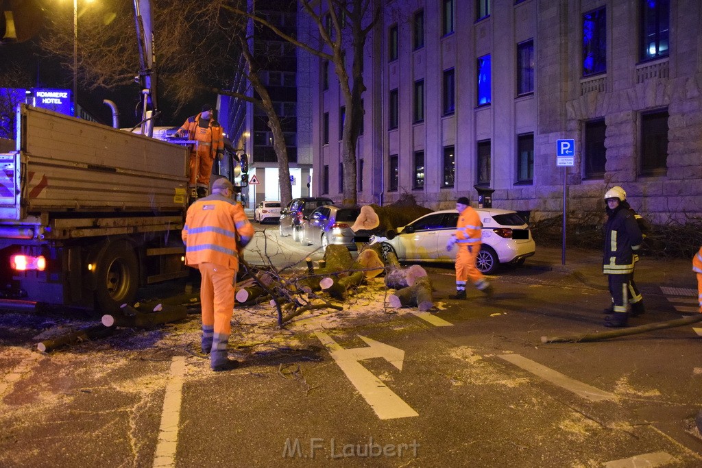 Baum auf PKWs Koeln Mitte Rheinuferstr Goldgasse P025.JPG - Miklos Laubert